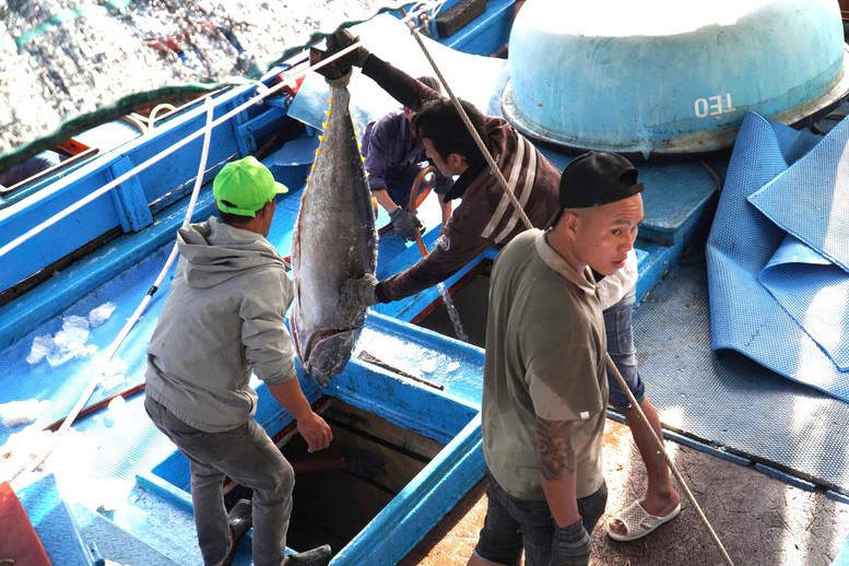 Khánh Hòa phát động đợt thi đua cao điểm chống IUU- Ảnh 2.