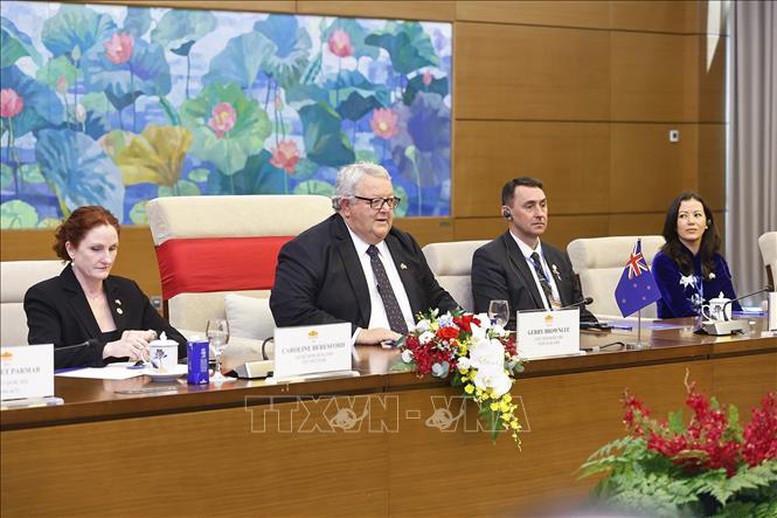 Chủ tịch Quốc hội Trần Thanh Mẫn hội đàm với Chủ tịch Quốc hội New Zealand- Ảnh 4.