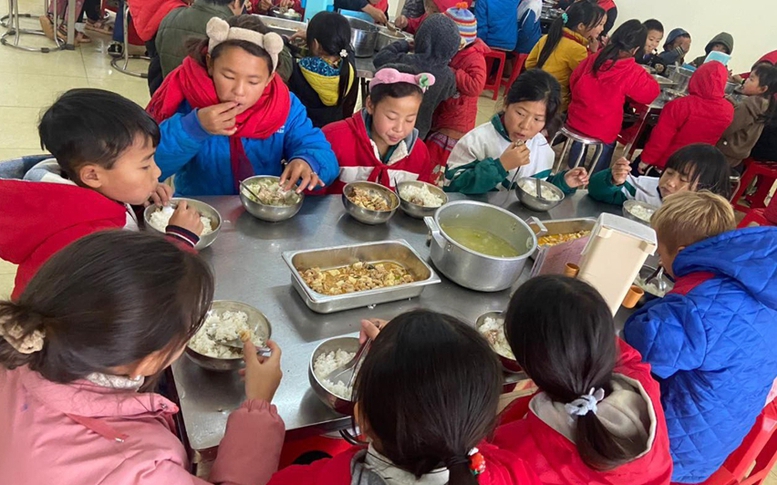 Yêu cầu nghiên cứu phản ánh về dinh dưỡng học đường