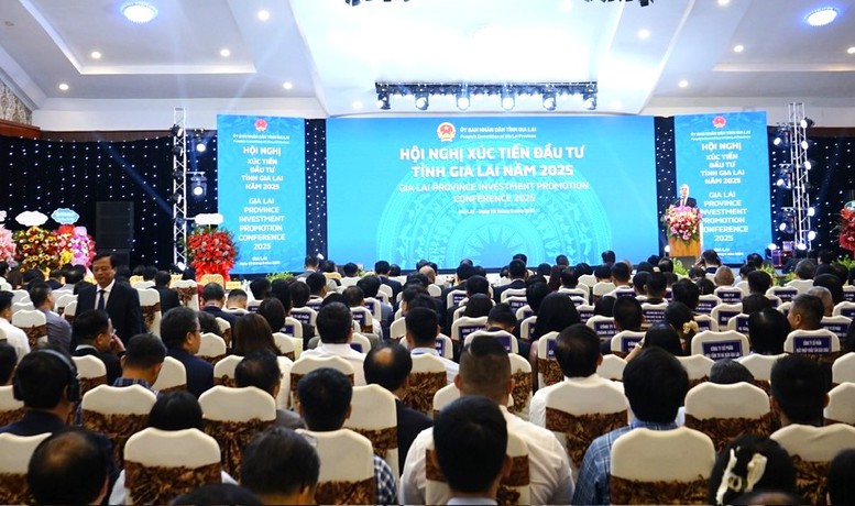 Gia Lai thu hút dòng vốn đăng ký đầu tư hơn 119.000 tỷ đồng- Ảnh 2.