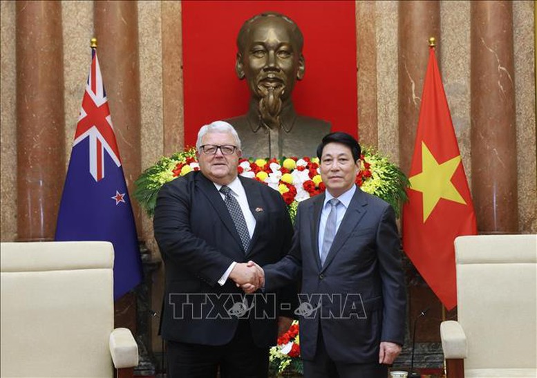 Chủ tịch nước Lương Cường tiếp Chủ tịch Quốc hội New Zealand- Ảnh 1.