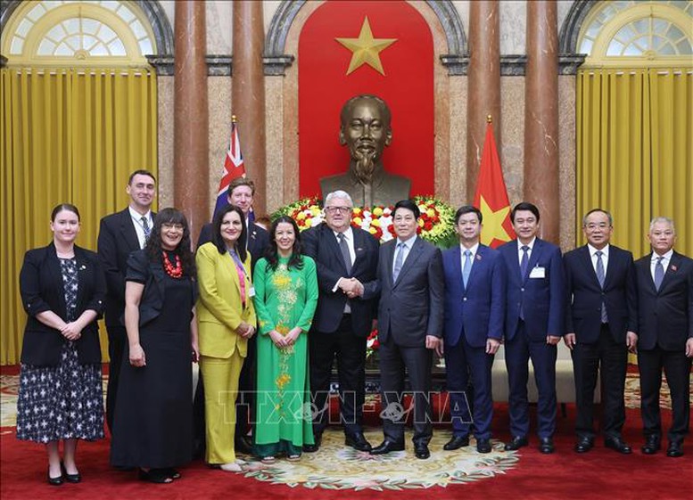 Chủ tịch nước Lương Cường tiếp Chủ tịch Quốc hội New Zealand- Ảnh 2.