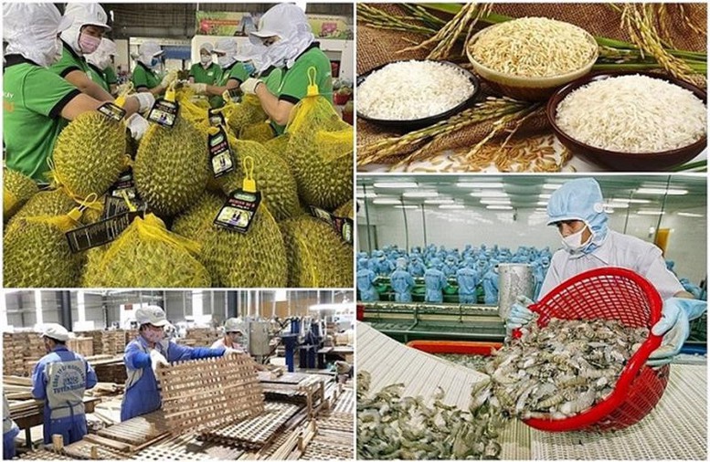 Tăng cường truy xuất nguồn gốc, đảm bảo chất lượng sản phẩm nông, lâm, thủy sản xuất khẩu- Ảnh 1.