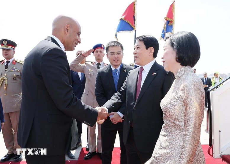 Chủ tịch nước Lương Cường bắt đầu chuyến thăm cấp Nhà nước Cộng hòa Ai Cập- Ảnh 2.