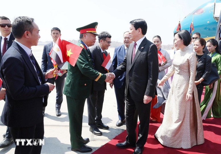 Chủ tịch nước Lương Cường bắt đầu chuyến thăm cấp Nhà nước Cộng hòa Ai Cập- Ảnh 4.