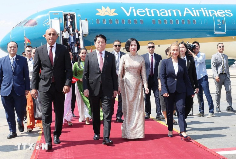 Chủ tịch nước Lương Cường bắt đầu chuyến thăm cấp Nhà nước Cộng hòa Ai Cập- Ảnh 3.
