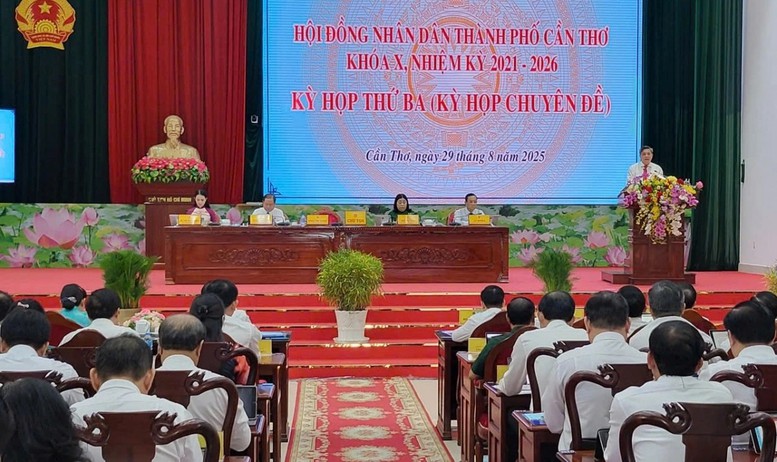 Cần Thơ hỗ trợ 5 triệu/tháng cho cán bộ đi làm xa- Ảnh 1.