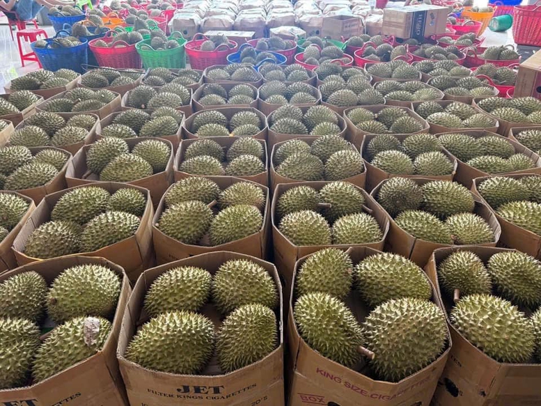 Sầu riêng tươi xuất khẩu có quy trình ATTP thống nhất toàn quốc- Ảnh 1.
