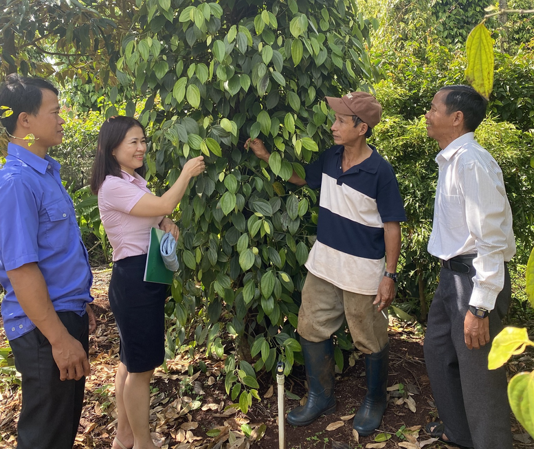 Đak Đoa thoát nghèo, làm giàu, xây dựng nông thôn mới- Ảnh 1.