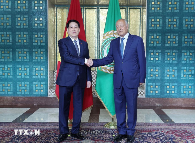 Chủ tịch nước Lương Cường dự Lễ thượng cờ Việt Nam tại trụ sở Liên đoàn Arab- Ảnh 1.
