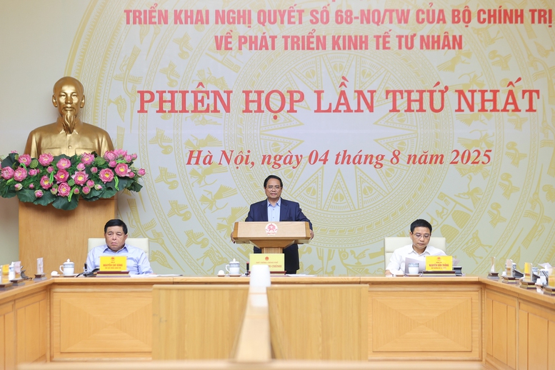 Thủ tướng: Tạo phong trào, xu thế để "cả nước là một đoàn quân" trong phát triển kinh tế tư nhân- Ảnh 9.