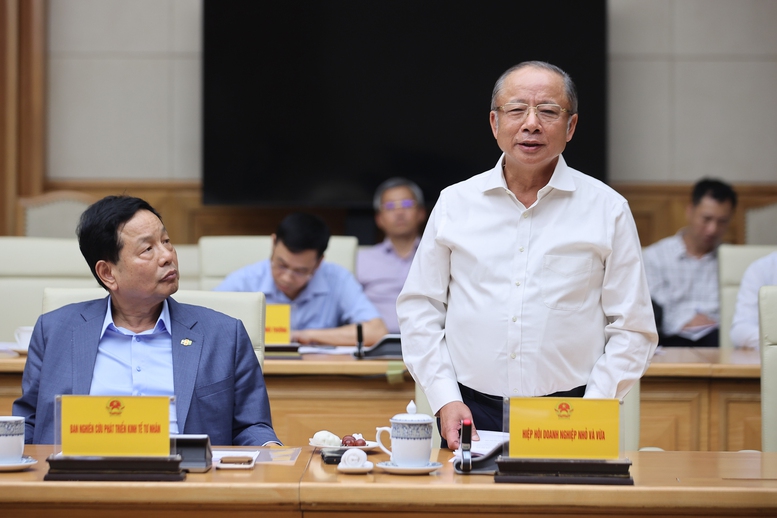 Thủ tướng: Tạo phong trào, xu thế để "cả nước là một đoàn quân" trong phát triển kinh tế tư nhân- Ảnh 7.
