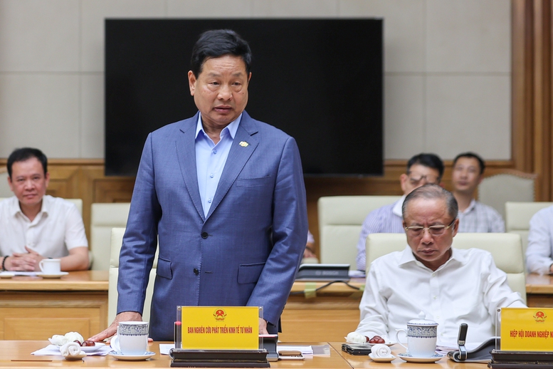 Thủ tướng: Tạo phong trào, xu thế để "cả nước là một đoàn quân" trong phát triển kinh tế tư nhân- Ảnh 6.