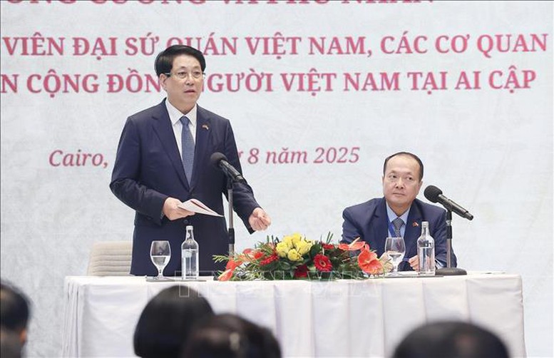 Chủ tịch nước Lương Cường gặp gỡ cộng đồng người Việt Nam tại Ai Cập- Ảnh 1.