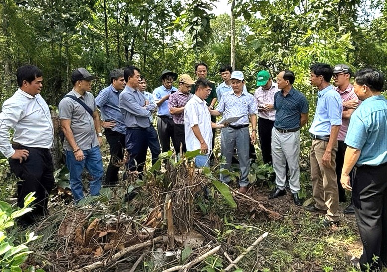 Gia Lai: Dự kiến đầu tư 1.211 tỷ đồng xây trường nội trú liên cấp tại 7 xã biên giới- Ảnh 1.
