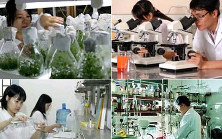 Tăng cường thực hiện các chính sách ưu đãi, hỗ trợ cho doanh nghiệp khoa học và công nghệ