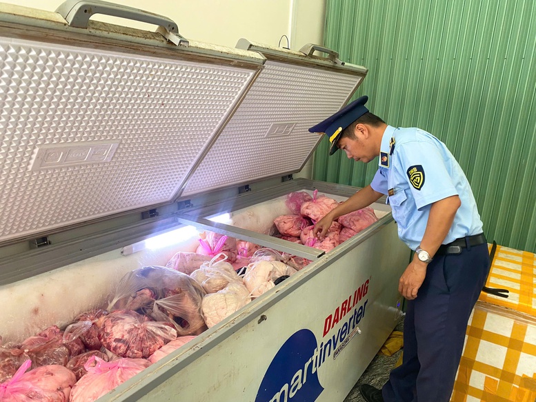 Gia Lai tăng cường giám sát, ngăn chặn dịch tả lợn châu Phi- Ảnh 1.