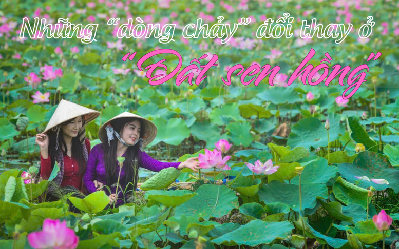 Những ‘dòng chảy’ đổi thay ở ‘Đất sen hồng’