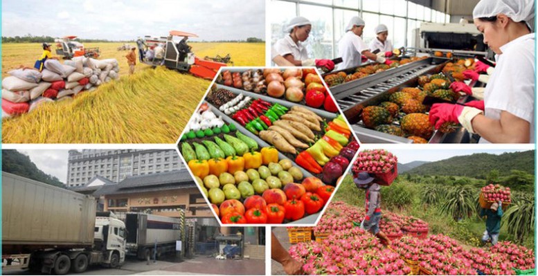 Đơn giản hóa thủ tục hành chính về nông nghiệp và môi trường- Ảnh 1.
