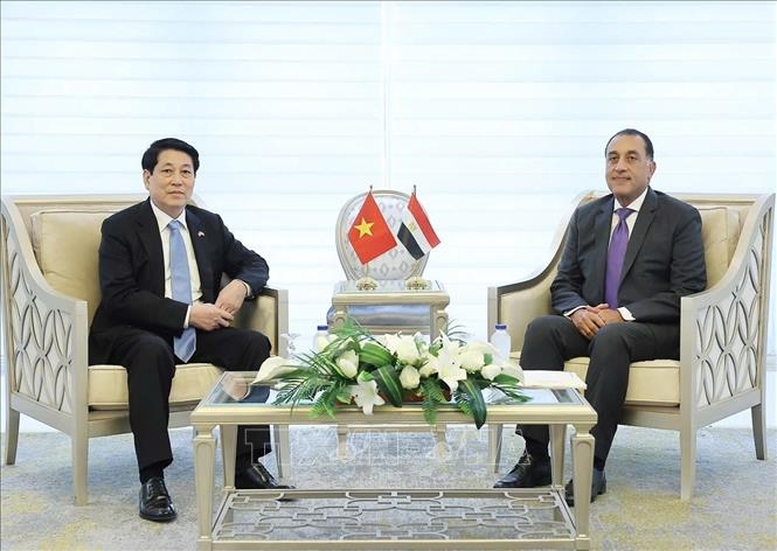 Thủ tướng Ai Cập đề xuất thành lập Hội đồng kinh doanh Việt Nam - Arab- Ảnh 2.