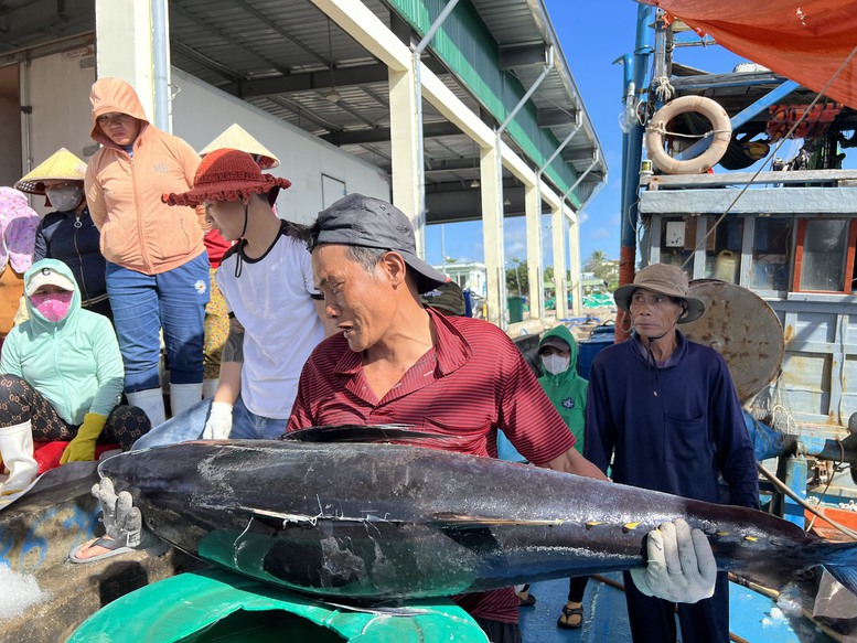 Xử lý nghiêm "tàu ma", tàu mất kết nối VMS: Gỡ khó quản lý đội tàu cá- Ảnh 5.