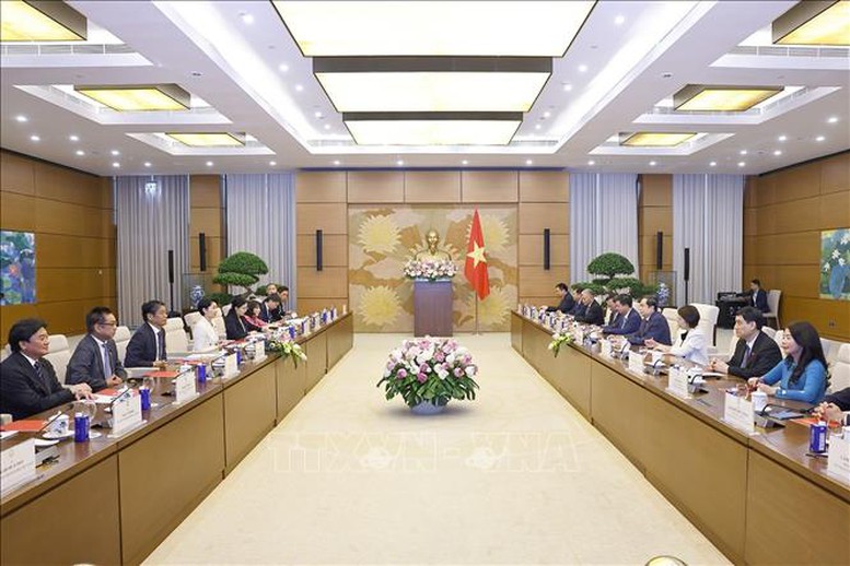 Chủ tịch Quốc hội Trần Thanh Mẫn tiếp Chủ tịch Liên minh Nghị sĩ hữu nghị Nhật Bản - Việt Nam- Ảnh 2.