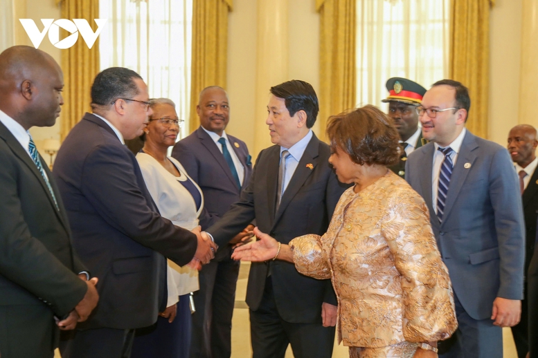 Chủ tịch nước Lương Cường phát biểu chính sách tại Quốc hội Angola- Ảnh 1.