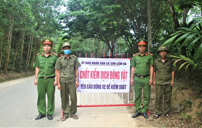 Miền Trung tập trung khống chế, dập dịch tả lợn, bảo vệ sinh kế nông dân- Ảnh 2.