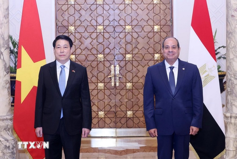 Những kết quả nổi bật trong chuyến thăm Ai Cập, Angola của Chủ tịch nước Lương Cường- Ảnh 1.
