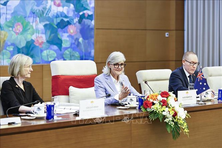 Chủ tịch Quốc hội Trần Thanh Mẫn hội kiến Toàn quyền Australia Sam Mostyn- Ảnh 3.