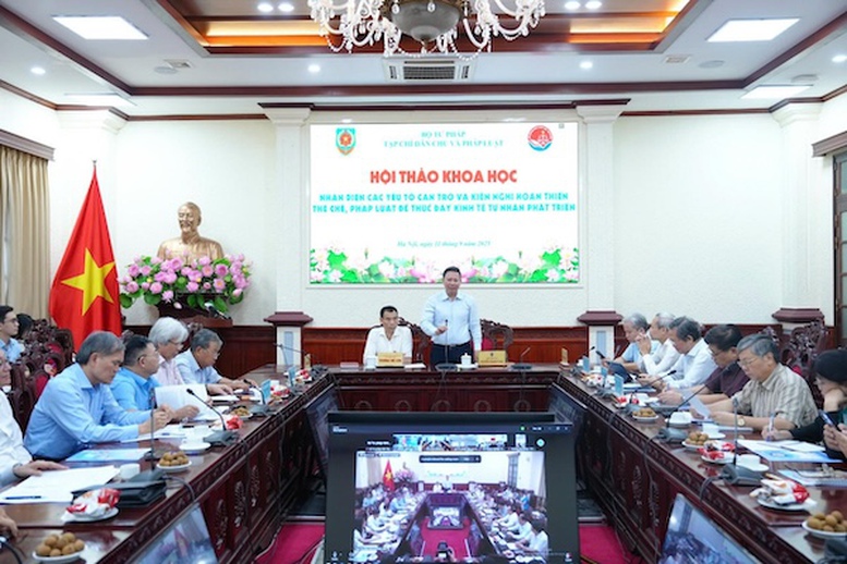 Hoàn thiện thể chế, pháp luật để thúc đẩy kinh tế tư nhân phát triển- Ảnh 1.