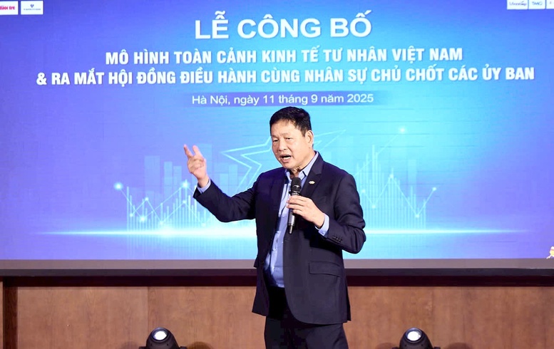 Mô hình Toàn cảnh Kinh tế tư nhân Việt Nam: Cầu nối công – tư cho phát triển- Ảnh 2.