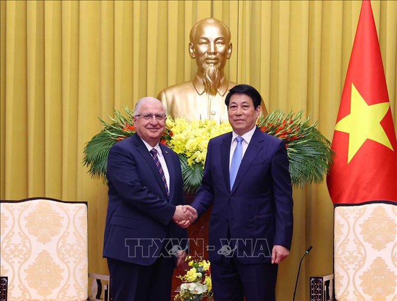 Chủ tịch nước Lương Cường tiếp Bộ trưởng Quốc phòng Thổ Nhĩ Kỳ- Ảnh 1.