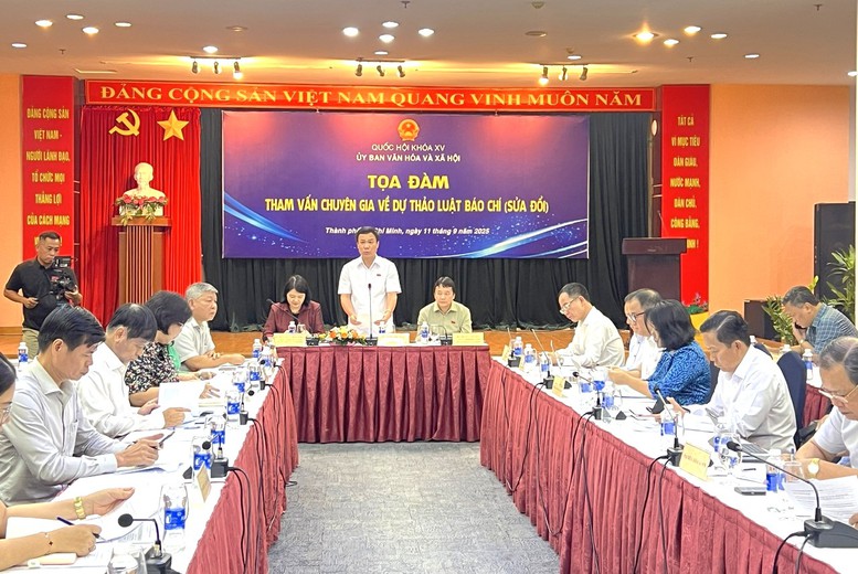 Tham vấn chuyên gia về dự thảo Luật Báo chí (sửa đổi)- Ảnh 1.