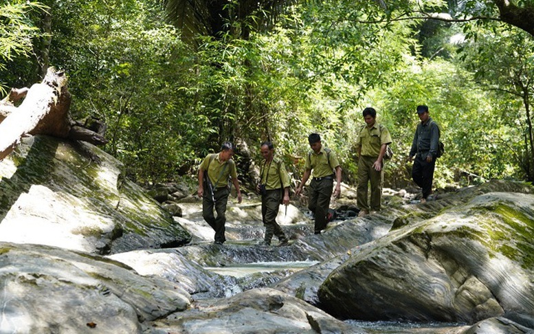 Có được thành lập lại Hạt Kiểm lâm thuộc vườn quốc gia?