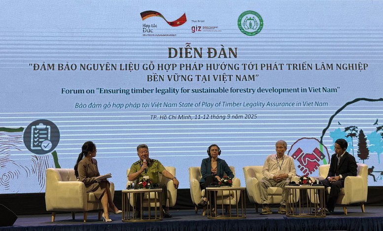 Thúc đẩy nguồn gỗ minh bạch cho thị trường- Ảnh 2.