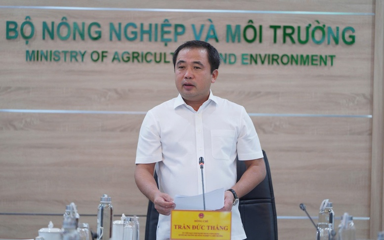Thị trường gạo Việt Nam: Liên kết sản xuất là chìa khóa ổn định thị trường
