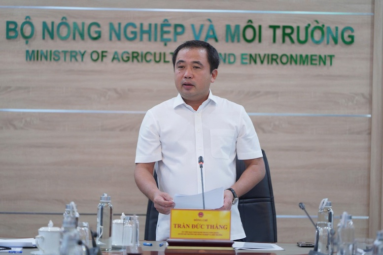 Thị trường gạo Việt Nam: Liên kết sản xuất là chìa khóa ổn định thị trường- Ảnh 1.