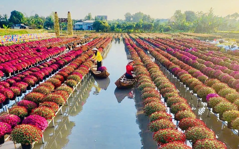 Festival Hoa-Kiểng Sa Đéc 2025: Bứt phá để khẳng định thương hiệu du lịch quốc tế