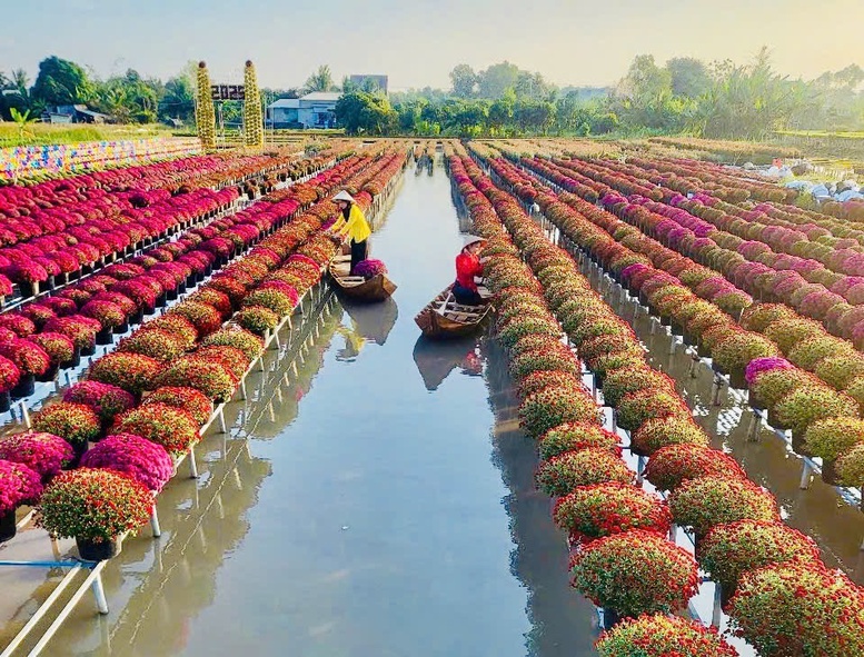 Festival Hoa-Kiểng Sa Đéc 2025: Bứt phá để khẳng định thương hiệu du lịch quốc tế- Ảnh 1.