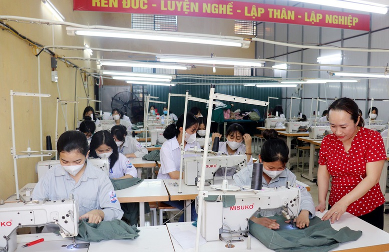 Bộ GD&ĐT tạm hoãn sắp xếp trường đại học, nghề nghiệp để chờ đề án mới- Ảnh 2.