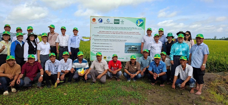 Những bước tiến vượt bậc trong canh tác lúa chất lượng cao, phát thải thấp- Ảnh 2.