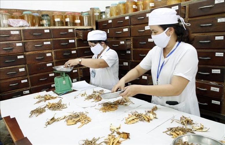 Phát huy hơn nữa vị thế, vai trò của y học cổ truyền trong chăm sóc sức khỏe nhân dân- Ảnh 1.