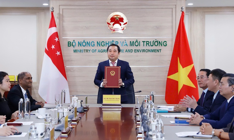 Việt Nam, Singapore hợp tác chặt chẽ trong lĩnh vực thị trường carbon quốc tế- Ảnh 1.