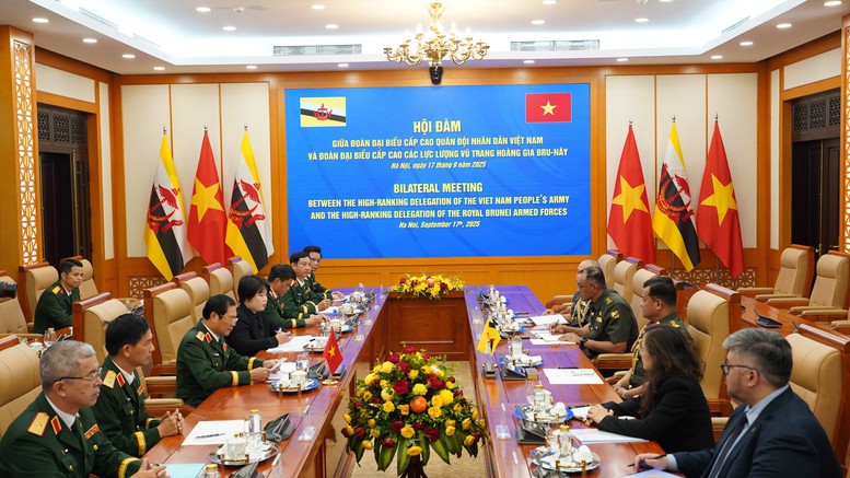 Quan hệ hợp tác giữa Quân đội hai nước Việt Nam, Brunei ngày càng phát triển thực chất, hiệu quả- Ảnh 1.