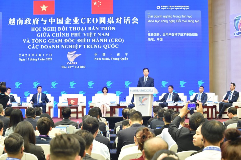Phó Thủ tướng Mai Văn Chính dự đối thoại bàn tròn với CEO các doanh nghiệp Trung Quốc- Ảnh 2.