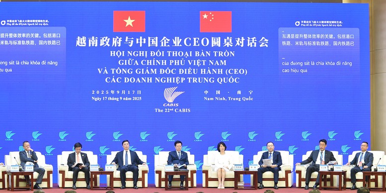 Phó Thủ tướng Mai Văn Chính dự đối thoại bàn tròn với CEO các doanh nghiệp Trung Quốc- Ảnh 4.