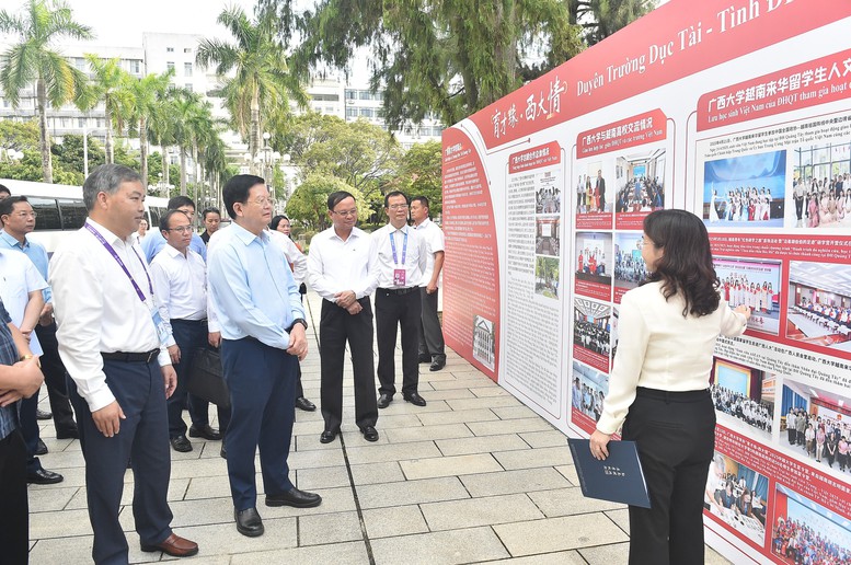 Phó Thủ tướng Mai Văn Chính dự đối thoại bàn tròn với CEO các doanh nghiệp Trung Quốc- Ảnh 5.