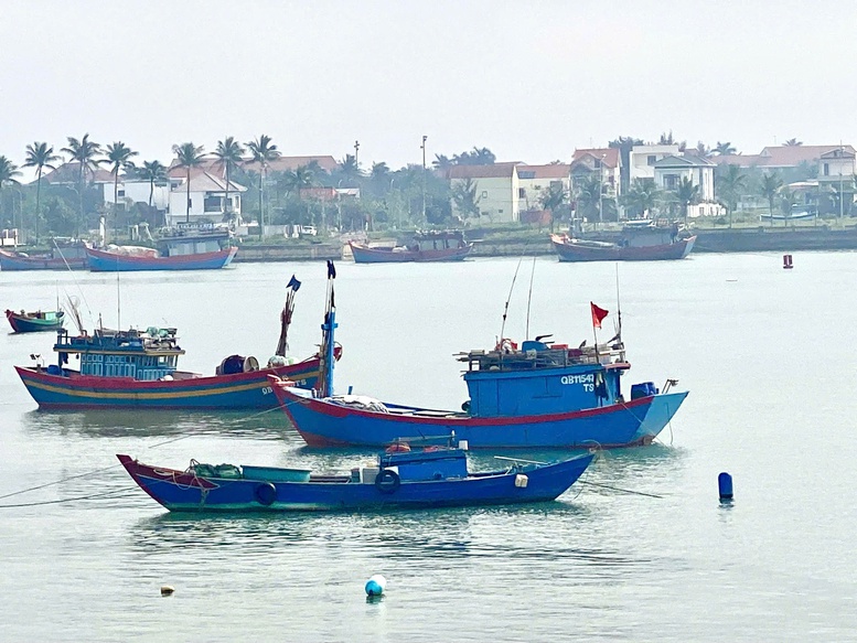 Quảng Trị tăng cường tuần tra, tập trung cao điểm chống khai thác IUU- Ảnh 1.