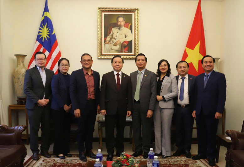 Phó Thủ tướng Trần Hồng Hà tiếp lãnh đạo một số hiệp hội, doanh nghiệp Malaysia- Ảnh 6.